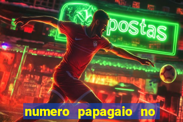 numero papagaio no jogo do bicho